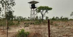 CHAMP, TERRAIN AGRICOLE À VENDRE À BAGUINEDA SEBELA CHAMP, TERRAIN AGRICOLE À VENDRE À BAGUINEDA SEBELA