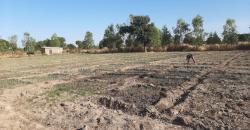 CHAMP, TERRAIN AGRICOLE À VENDRE À BAGUINEDA SEBELA CHAMP, TERRAIN AGRICOLE À VENDRE À BAGUINEDA SEBELA