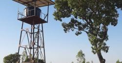 CHAMP, TERRAIN AGRICOLE À VENDRE À BAGUINEDA SEBELA CHAMP, TERRAIN AGRICOLE À VENDRE À BAGUINEDA SEBELA