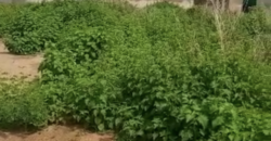 ACHAT TERRAIN À KANADJIGUILA BAMAKO ACHAT TERRAIN À KANADJIGUILA BAMAKO