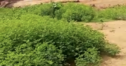 ACHAT TERRAIN À KANADJIGUILA BAMAKO ACHAT TERRAIN À KANADJIGUILA BAMAKO