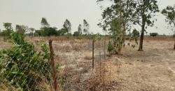 CHAMP, TERRAIN AGRICOLE À VENDRE À BAGUINEDA SEBELA CHAMP, TERRAIN AGRICOLE À VENDRE À BAGUINEDA SEBELA