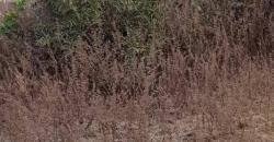 TERRAIN À VENDRE À SAMANKO 2 TERRAIN À VENDRE À SAMANKO 2