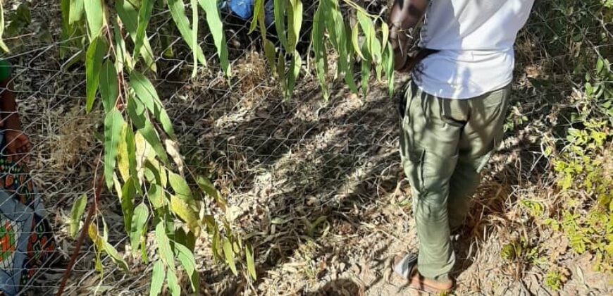 Ferme agricole clôturée de 1,1 hectare avec forage solaire à vendre – Sébéla, Baguinéda