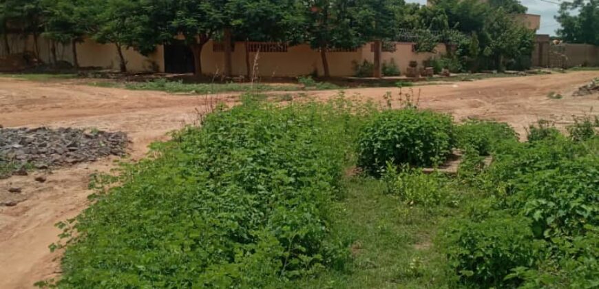 Terrain de 300 m² à vendre – près du marché, Niamana, Bamako