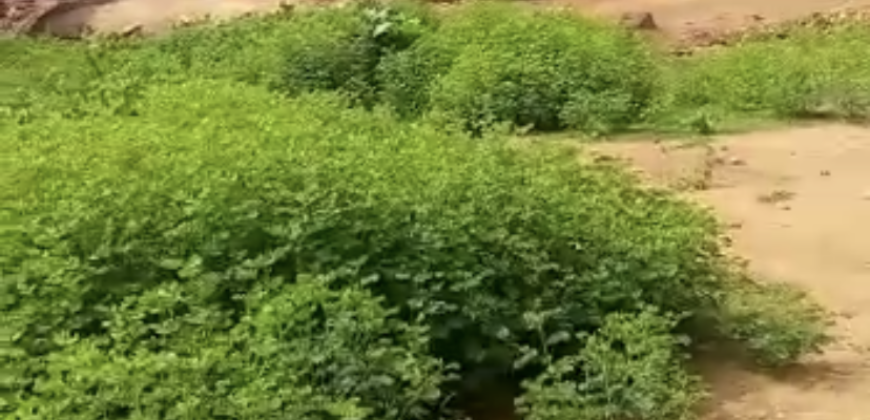 ACHAT TERRAIN À KANADJIGUILA BAMAKO