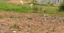 TERRAIN À VENDRE BAMAKO MALI NIAMANA TERRAIN À VENDRE BAMAKO MALI NIAMANA