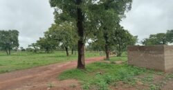 TERRAIN À VENDRE À BAMAKO DIALAKOROBOUGOU TERRAIN À VENDRE À BAMAKO DIALAKOROBOUGOU