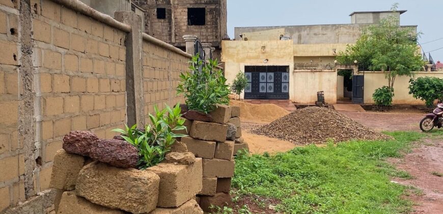 Terrain de 600 m² (2 lots) en titre foncier à vendre – Sirakoro Méguétana