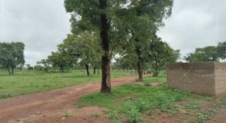 Terrains de 300 m² en titre foncier à vendre – Dialakorobougou, Bamako