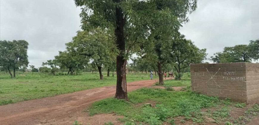 Terrains de 300 m² en titre foncier à vendre – Dialakorobougou, Bamako