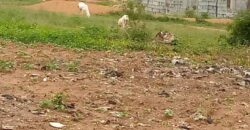 Terrains viabilisés de 300 m² à vendre – Poste, Niamana, Bamako Terrains viabilisés de 300 m² à vendre – Poste, Niamana, Bamako
