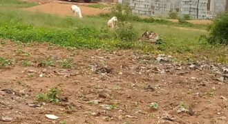 Terrains viabilisés de 300 m² à vendre – Poste, Niamana, Bamako