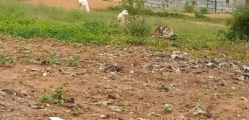 Terrains viabilisés de 300 m² à vendre – Poste, Niamana, Bamako