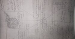 VENTE TERRAIN TIEBANI COMPLEMENTAIRE VENTE TERRAIN TIEBANI COMPLEMENTAIRE