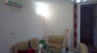 Appartement meublé 2 chambres à louer – Faso Kanu, Magnambougou