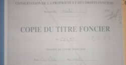Deux terrains contigus à vendre – Bamako Deux terrains contigus à vendre – Bamako