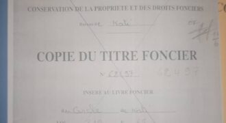 Deux terrains contigus à vendre – Bamako