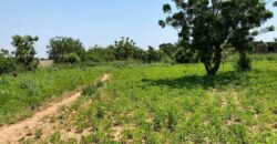 Terrain viabilisé de 300 m² à vendre – Kabala, Bamako Terrain viabilisé de 300 m² à vendre – Kabala, Bamako