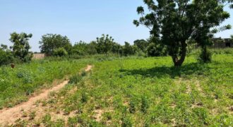 Terrain viabilisé de 300 m² à vendre – Kabala, Bamako