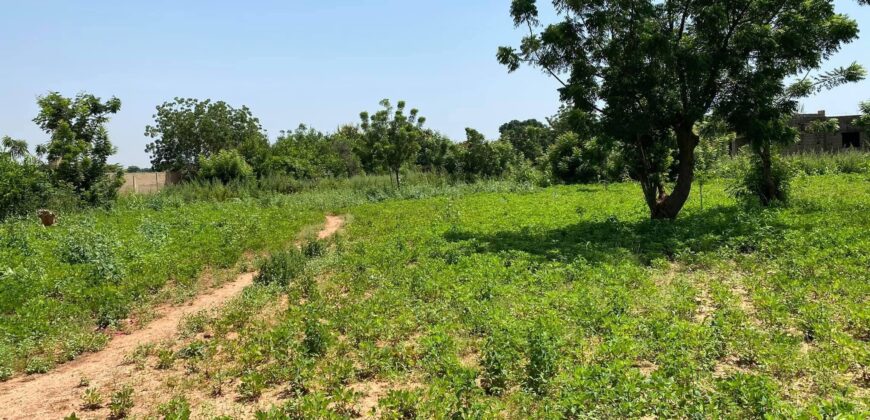 Terrain viabilisé de 300 m² à vendre – Kabala, Bamako
