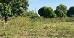 TERRAIN À VENDRE À BAMAKO KATIBOUGOU DERRIÈRE SAMAYA TERRAIN À VENDRE À BAMAKO KATIBOUGOU DERRIÈRE SAMAYA