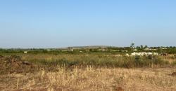 CHAMP À VENDRE À BANANCORONI DERRIÈRE SENOU CHAMP À VENDRE À BANANCORONI DERRIÈRE SENOU