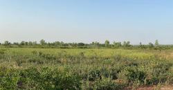 CHAMP À VENDRE À BANANCORONI DERRIÈRE SENOU CHAMP À VENDRE À BANANCORONI DERRIÈRE SENOU