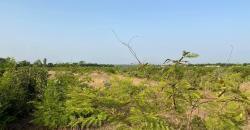 TERRAIN A VENDRE A GUANA BAMAKO TERRAIN A VENDRE A GUANA BAMAKO