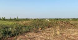 CHAMP À VENDRE À BANANCORONI DERRIÈRE SENOU CHAMP À VENDRE À BANANCORONI DERRIÈRE SENOU