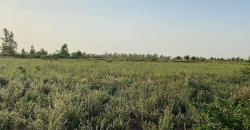 CHAMP À VENDRE À BANANCORONI DERRIÈRE SENOU CHAMP À VENDRE À BANANCORONI DERRIÈRE SENOU