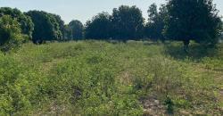 TERRAIN À VENDRE À BAMAKO KATIBOUGOU DERRIÈRE SAMAYA TERRAIN À VENDRE À BAMAKO KATIBOUGOU DERRIÈRE SAMAYA