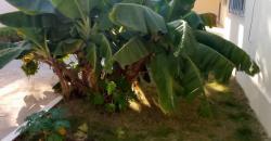 Villa meublée à louer à Badalabougou Est Villa meublée à louer à Badalabougou Est