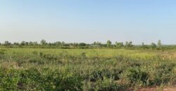 Champ agricole de 1,5 hectare à vendre – Banancoroni, derrière Sénou Champ agricole de 1,5 hectare à vendre – Banancoroni, derrière Sénou