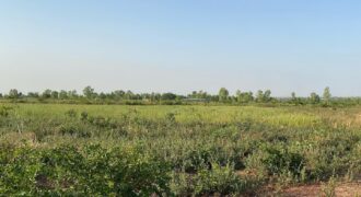 Champ agricole de 1,5 hectare à vendre – Banancoroni, derrière Sénou