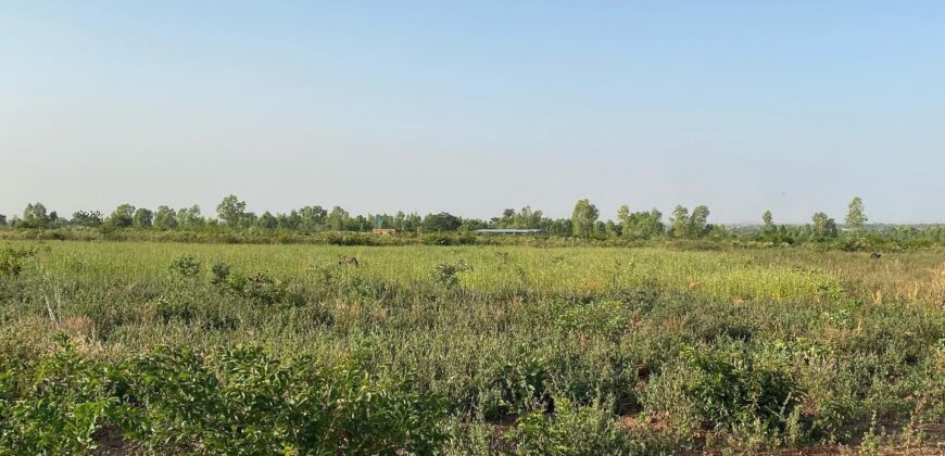 Champ agricole de 1,5 hectare à vendre – Banancoroni, derrière Sénou