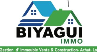 Terrain de 250 m² à vendre – Zerny, Banankabougou, Bamako