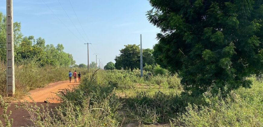 Terrain de 250 m² en titre foncier à vendre – Katibougou, derrière Samaya