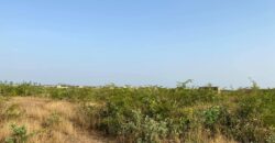 50 terrains de 250 et 300 m² à vendre – Gouana, Bamako 50 terrains de 250 et 300 m² à vendre – Gouana, Bamako