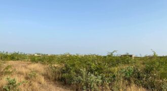 50 terrains de 250 et 300 m² à vendre – Gouana, Bamako