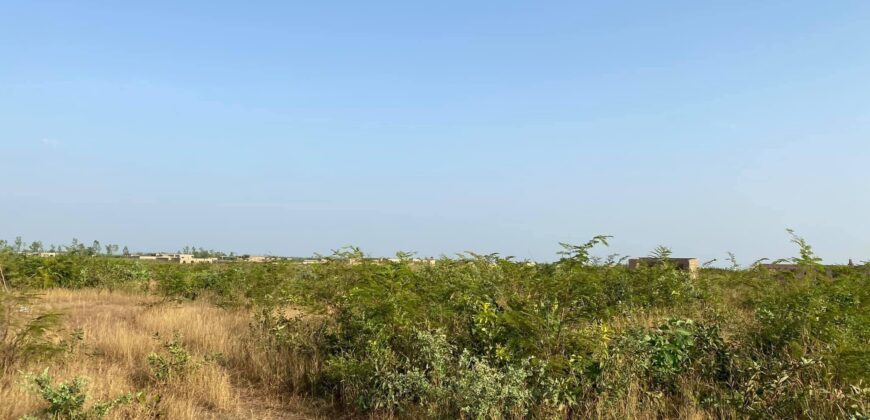 50 terrains de 250 et 300 m² à vendre – Gouana, Bamako