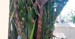 Location de villa non meublée avec piscine à Badalabougou Est Location de villa non meublée avec piscine à Badalabougou Est