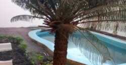 Villa non meublée à louer à l’hippodrome avec piscine Villa non meublée à louer à l’hippodrome avec piscine