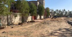 Terrain viabilisé de 300 m² à vendre – Sirakoro Méguétana Terrain viabilisé de 300 m² à vendre – Sirakoro Méguétana