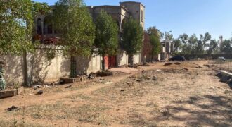 Terrain viabilisé de 300 m² à vendre – Sirakoro Méguétana