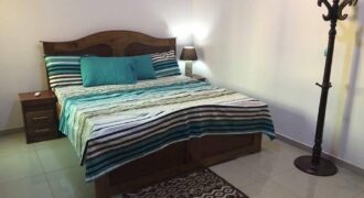Appartement meublé 1 chambre à louer – Pont Woyowayanko, Sébénikoro