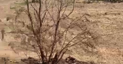 TERRAINS TITRE FONCIER À VENDRE À SENOU DIATOULA TERRAINS TITRE FONCIER À VENDRE À SENOU DIATOULA