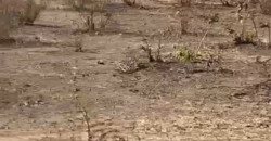 TERRAINS TITRE FONCIER À VENDRE À SENOU DIATOULA TERRAINS TITRE FONCIER À VENDRE À SENOU DIATOULA