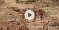 TERRAINS TITRE FONCIER À VENDRE À SENOU DIATOULA TERRAINS TITRE FONCIER À VENDRE À SENOU DIATOULA