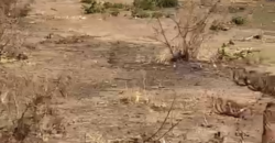 TERRAINS TITRE FONCIER À VENDRE À SENOU DIATOULA TERRAINS TITRE FONCIER À VENDRE À SENOU DIATOULA